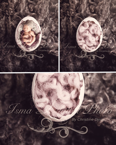 Egg 3 - Beautiful Digital background Newborn Photography Prop download