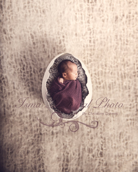 Egg  - Beautiful Digital background Newborn Photography Prop download