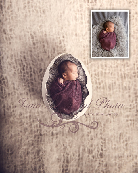 Egg  - Beautiful Digital background Newborn Photography Prop download