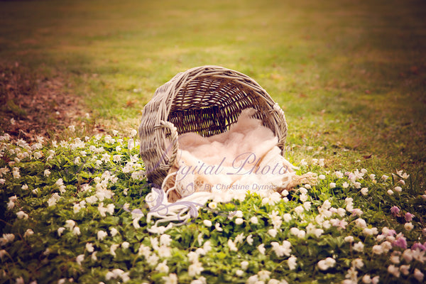 Basket nature outdoor - Digital backdrop /background