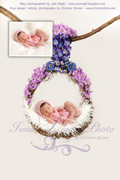 Flowers Garland Baby Swing  - Beautiful Digital background Newborn Photography Prop download