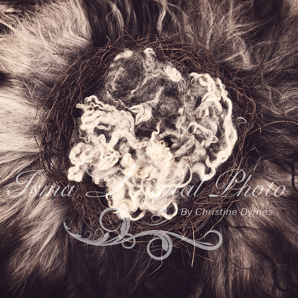 Artistically Nest whit wool - Beautiful Digital background Newborn Photography Prop download