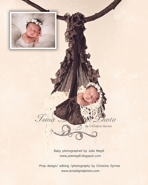 Baby posing swing 2 - Digital backdrop /background