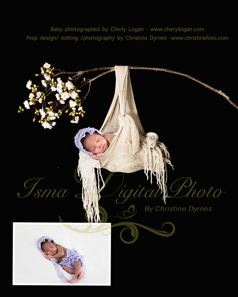 Baby posing swing - Digital backdrop /background