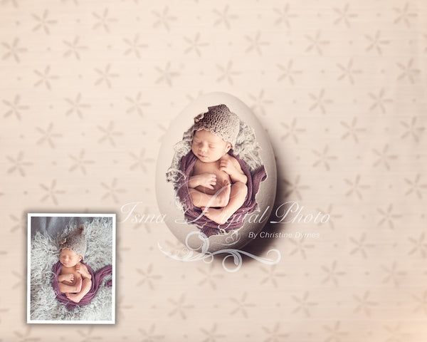 Egg With Cute Star Background  - Beautiful Digital background Newborn Photography Prop download