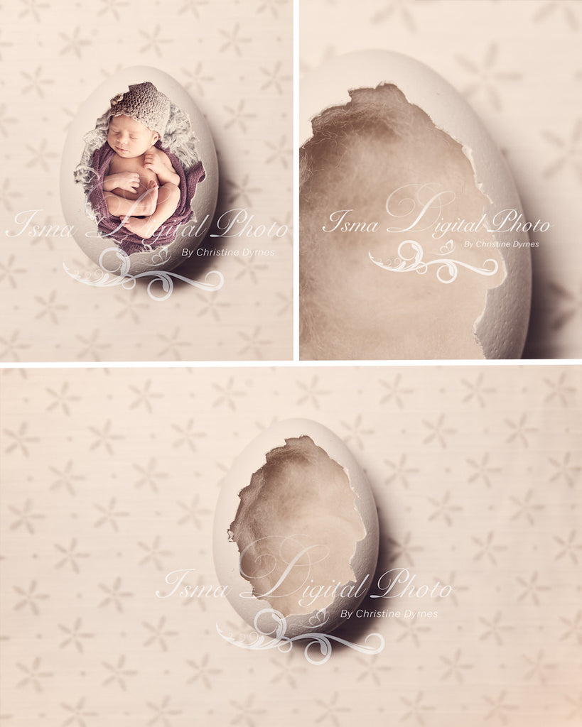 Egg With Cute Star Background  - Beautiful Digital background Newborn Photography Prop download
