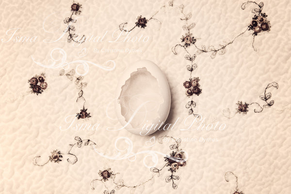 Egg With Wool And Silk Background - Beautiful Digital background Newborn Photography Prop download