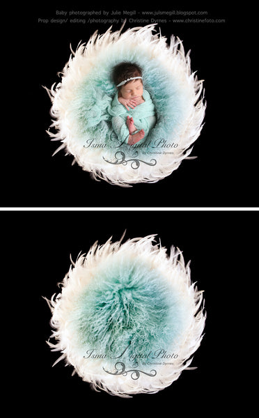 Feather Nest - Black babckground whit white feather and turquoise wool - Digital Newborn Photography Prop