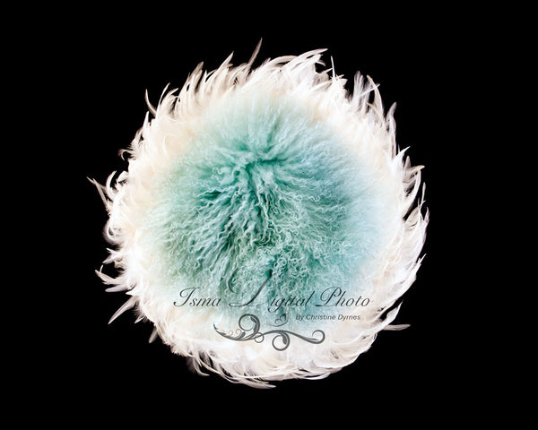 Feather Nest - Black babckground whit white feather and turquoise wool - Digital Newborn Photography Prop