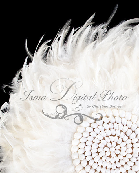Feather nest, Black babckground whit white feather and sea shells - Digital Newborn Photography Prop