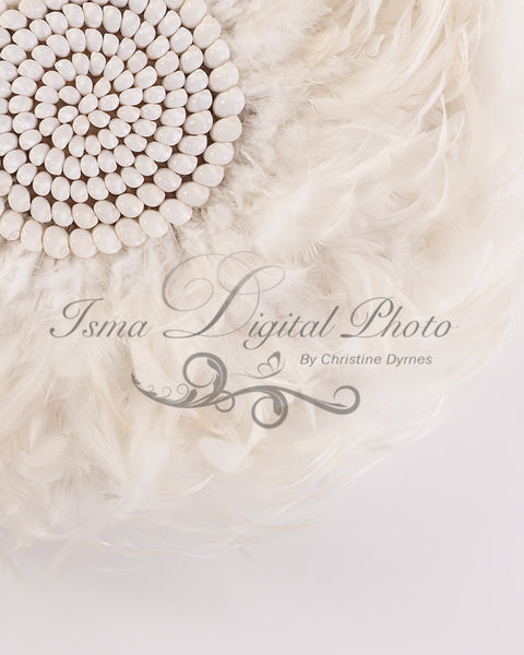Feather nest, White babckground whit white feather and sea shells - Digital Newborn Photography Prop