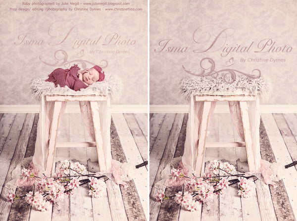 Girl Dream 2 - Beautiful Digital background backdrop Newborn Photography Prop download
