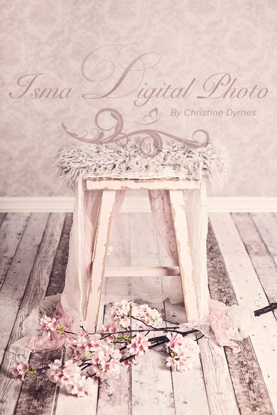 Girl Dream 2 - Beautiful Digital background backdrop Newborn Photography Prop download