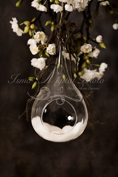 Glass Bowl With dark Background - Digital backdrop /background