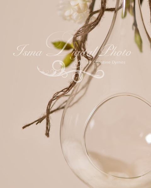Glass Bowl With Light Background - Beautiful Digital Newborn Photography Props download
