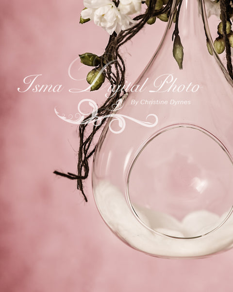 Glass bowl with pink background - Digital backdrop /background