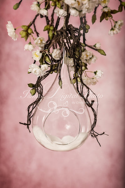 Glass bowl with pink background - Digital backdrop /background