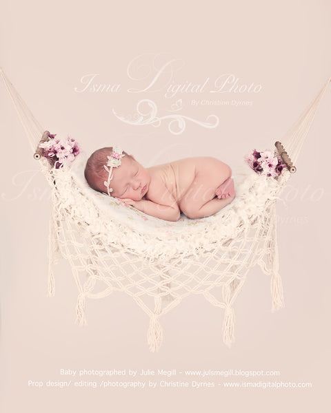 Hammock With Light Background - Beautiful Digital background Newborn Photography Prop download