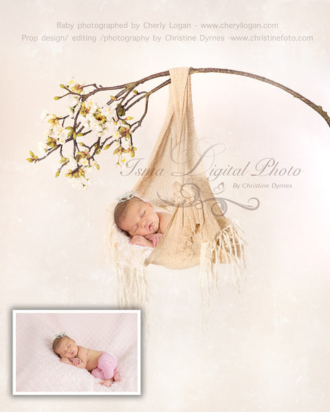Baby Posing Swing  - Beautiful Digital background backdrop Newborn Photography Prop download