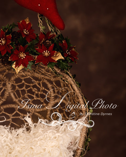 Package deal - Hanging Christmas Twine Circles Bowl - Beautiful Digital backdrop Newborn Prop download