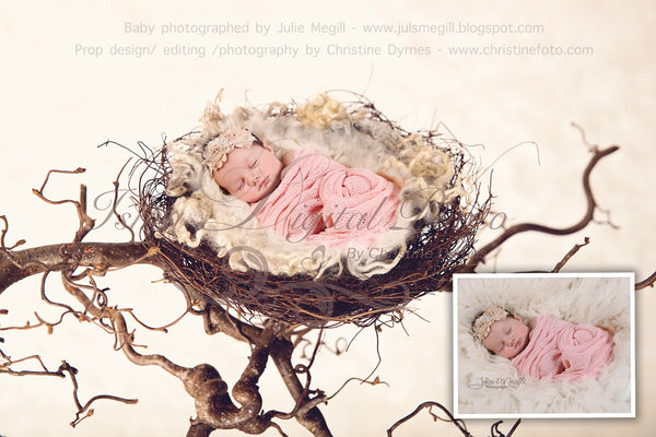 Nest 2 - Beautiful Digital background Newborn Photography Prop download