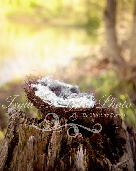 Nest Nature - Beautiful Digital background Newborn Photography Prop download
