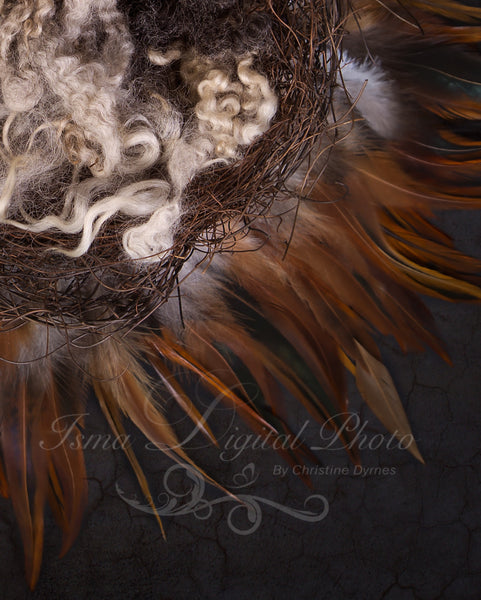 Nest feather  - Digital backdrop - psd with layers