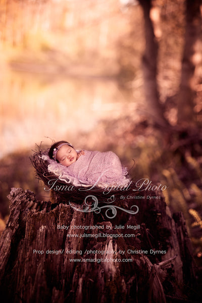 Nest Nature Autumn - Beautiful Digital background Newborn Photography - Psd file with layers