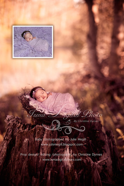 Nest Nature Autumn - Beautiful Digital background Newborn Photography - Psd file with layers