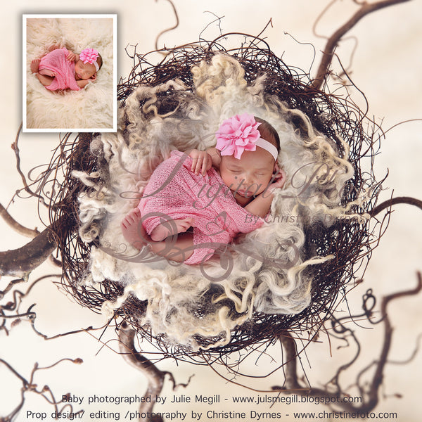 Nest - Beautiful Digital background Newborn Photography Prop download