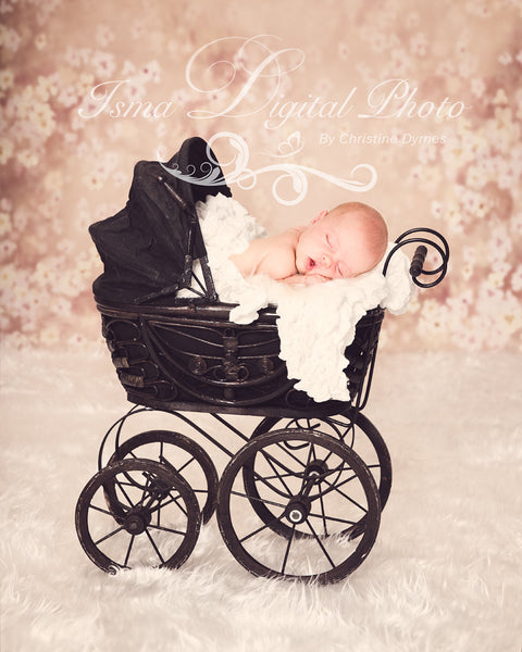 Antique baby carriage - Digital backdrop /background