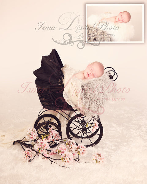 Antique Baby Carriage - Beautiful Digital background Newborn Photography Prop download