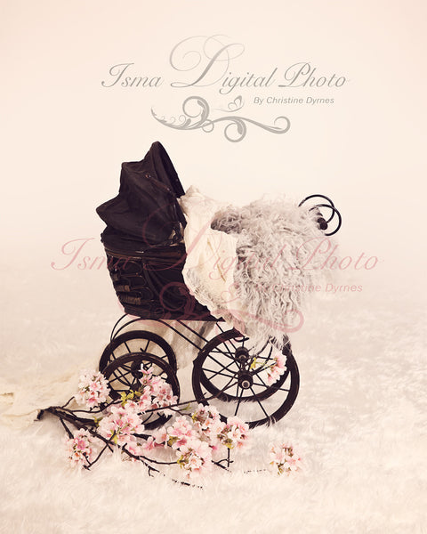 Antique Baby Carriage - Beautiful Digital background Newborn Photography Prop download