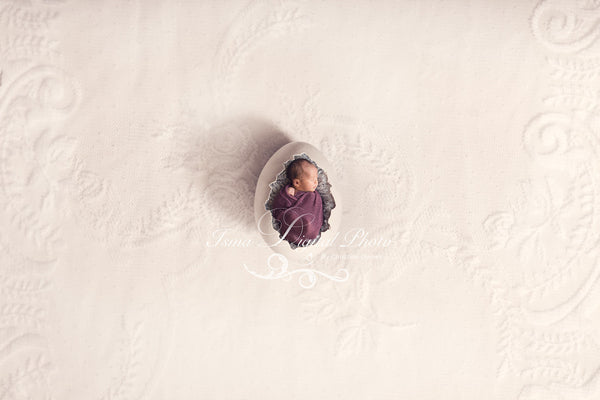 One Egg Design With Lace Background - Beautiful Digital background Newborn Photography Prop download