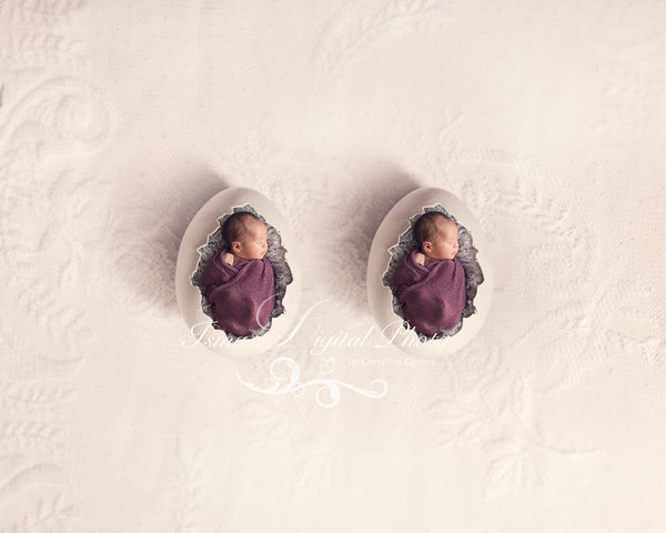 Two Egg Design With Lace Background - Beautiful Digital background Newborn Photography Prop download