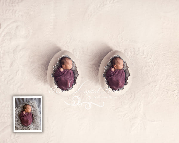 Two Egg Design With Lace Background - Beautiful Digital background Newborn Photography Prop download