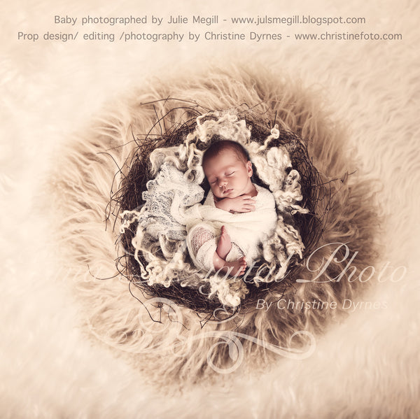 Vintage Nest with wool - Beautiful Digital background Newborn Photography Prop download