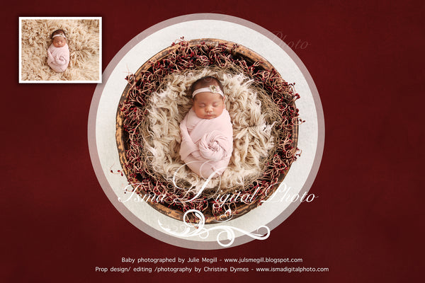Newborn Christmas nest 2 - Digital backdrop /background - psd with layers