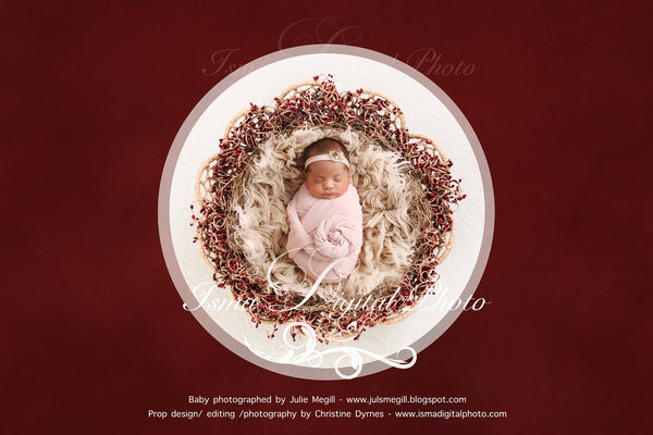 Newborn Christmas nest 3 - Digital backdrop /background - psd with layers
