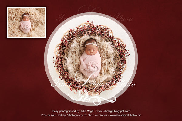 Newborn Christmas nest 3 - Digital backdrop /background - psd with layers