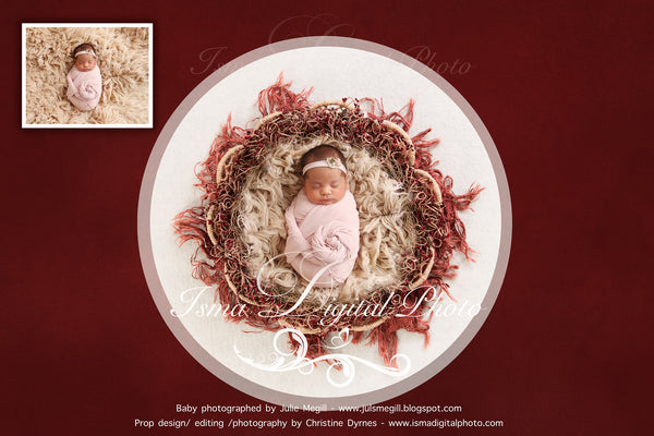 Newborn Christmas nest 4 - Digital backdrop /background - psd with layers