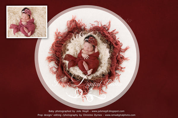 Newborn Christmas nest 6 - Digital backdrop /background - psd with layers
