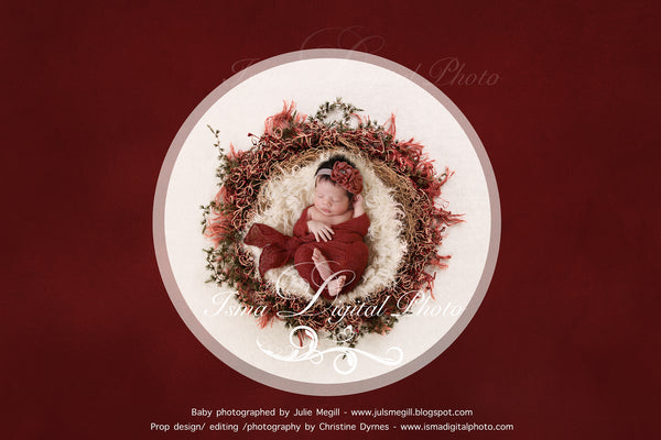 Newborn Christmas nest 8 - Digital backdrop /background - psd with layers