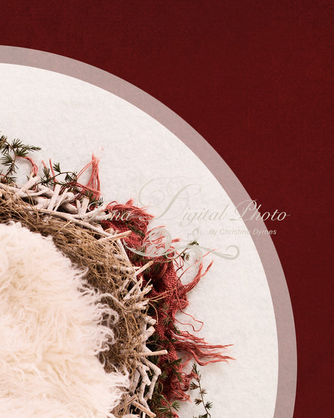 Newborn Christmas nest 9 - Digital backdrop /background - psd with layers