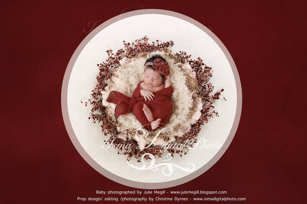 Newborn Christmas nest - Digital backdrop /background - psd with layers