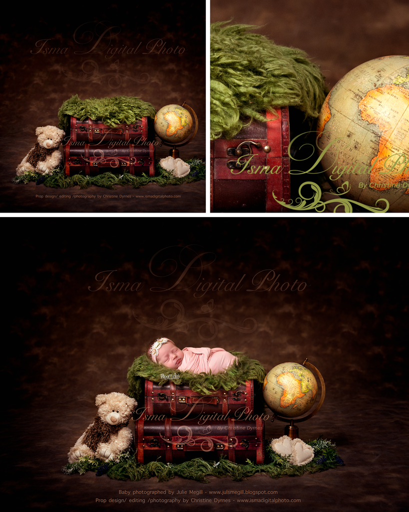 Newborn digital suitcase with globe and teddy bear - Digital backdrop /background - JPG
