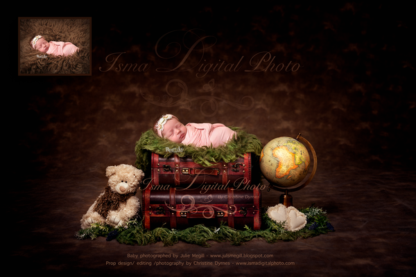 Newborn digital suitcase with globe and teddy bear - Digital backdrop - psd with layers