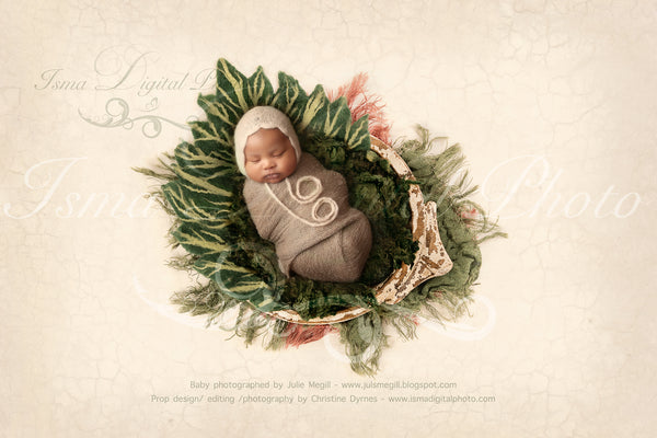 Newborn felted green wool leaf 1 - Digital backdrop /background - psd with layers