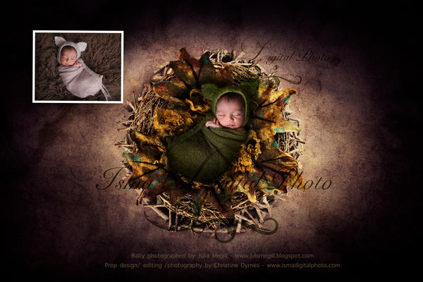 Newborn felted wool leaf 1 - Digital backdrop - psd with layers
