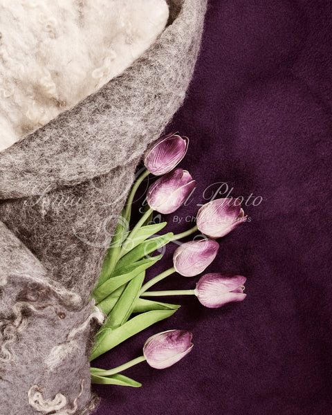 Newborn felted wool bed 4 - Digital backdrop /background - psd with layers
